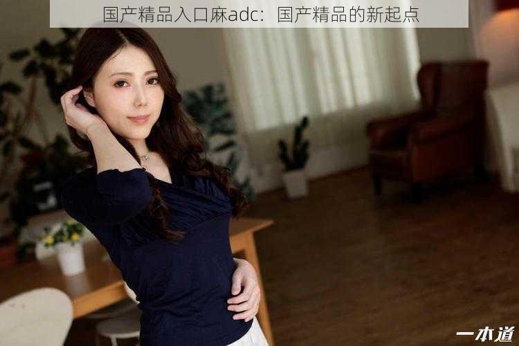 国产精品入口麻adc：国产精品的新起点