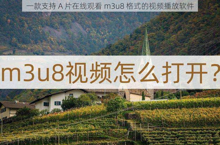 一款支持 A 片在线观看 m3u8 格式的视频播放软件