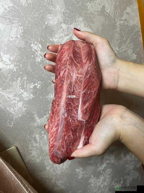 大肉大捧一进一出视频精彩呈现啦