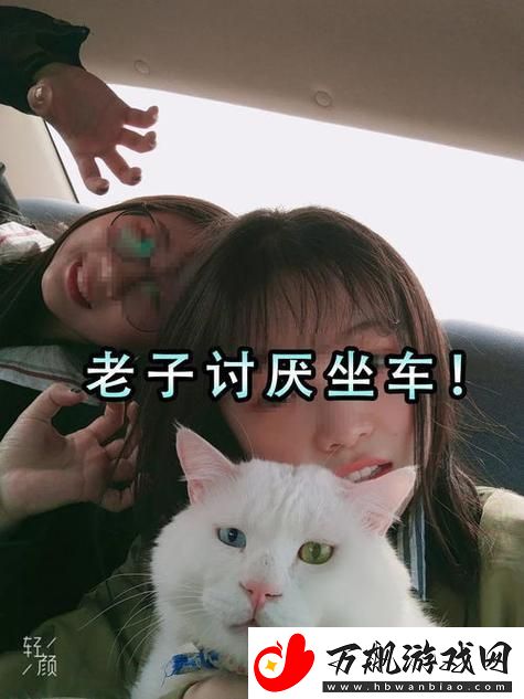 突破极限-"喵星"驰骋：科技界的萌宠新霸主