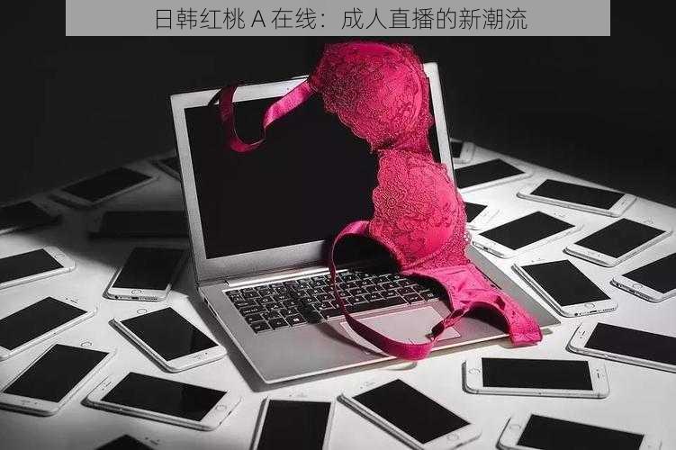 日韩红桃 A 在线:成人直播的新潮流