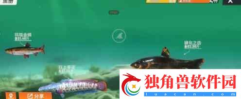 欢乐钓鱼大师洪湖最后一条鱼钓不上来解决方式