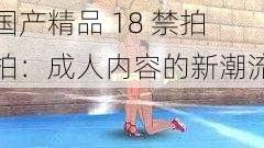 国产精品 18 禁拍拍:成人内容的新潮流