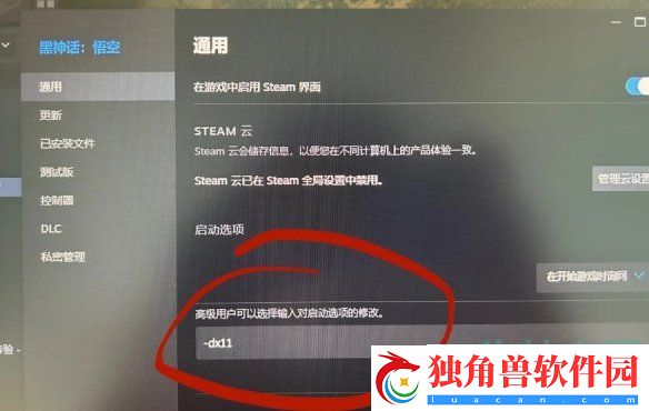 黑神话悟空DLSS帧生成问题怎么办