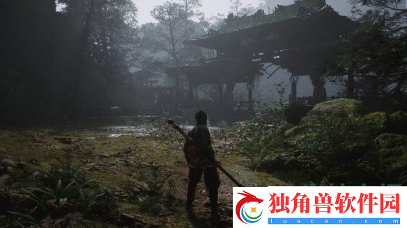 黑神话悟空DLSS帧生成问题怎么办