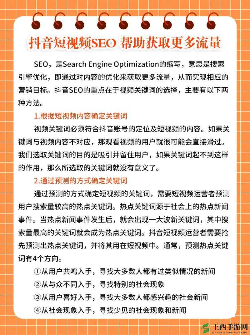 SEO 短视频网页入口引流技巧:全面解析提升流量的关键所在
