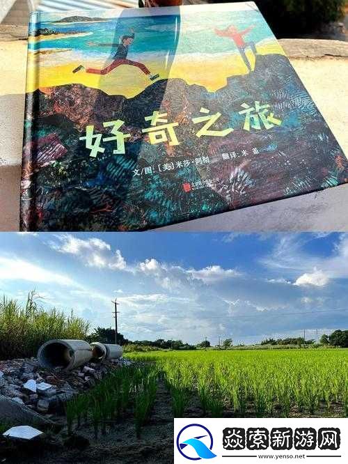 奇迹之旅-在看似平凡的旅途中绽放出不凡的生命之光