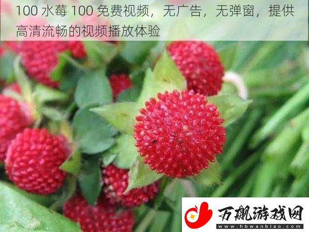 100水莓100免费视频无广告无弹窗提供高清流畅的视频播放体验