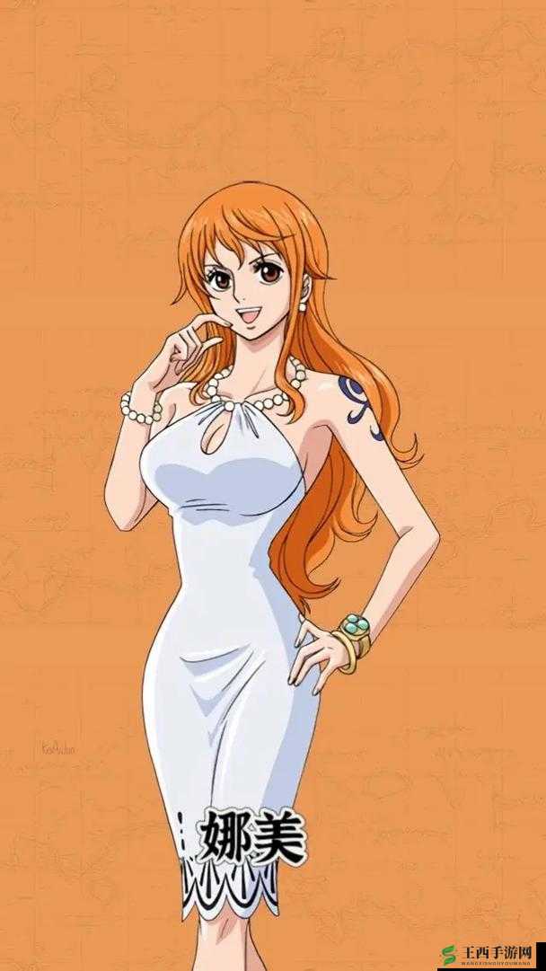 海贼王娜美被轮插图背后的震撼与思考