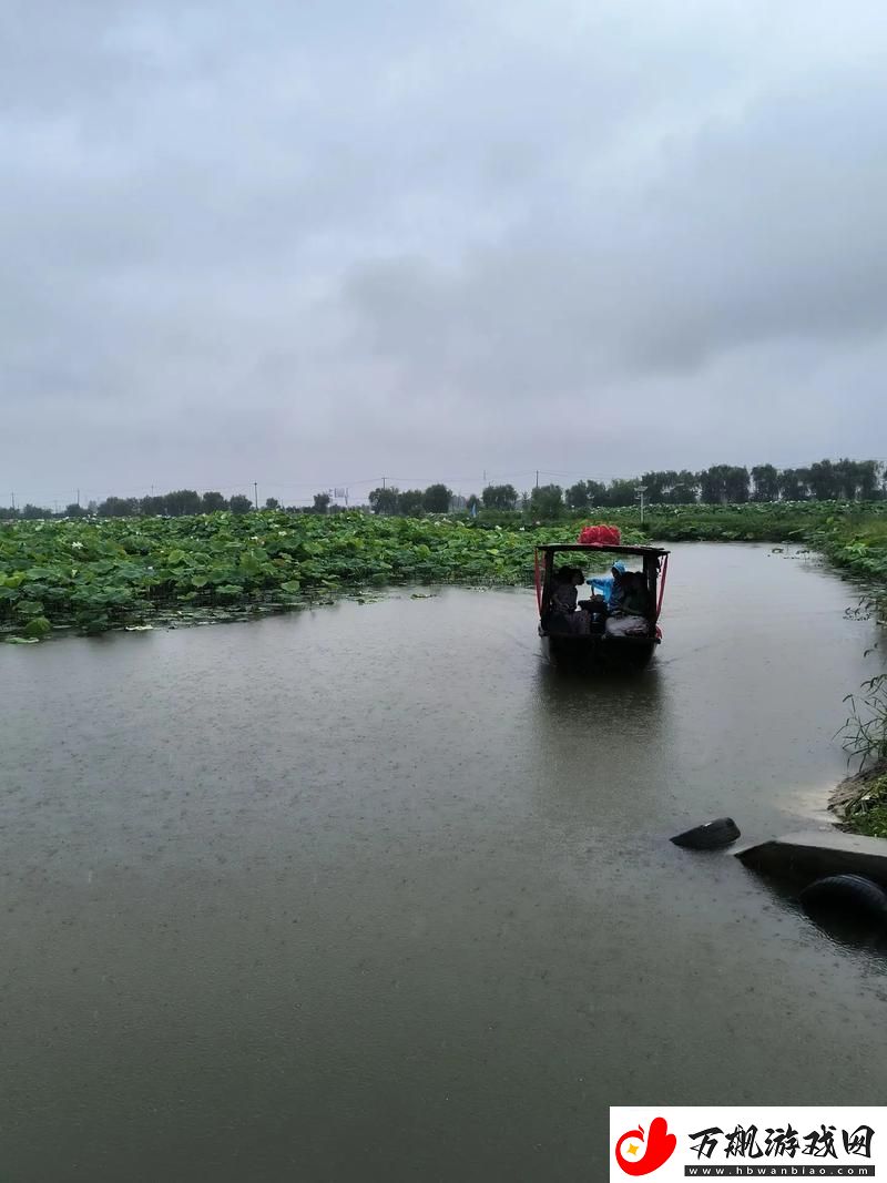 老人船上弄雨荷第13集-友：老故事中的青春与情感碰撞