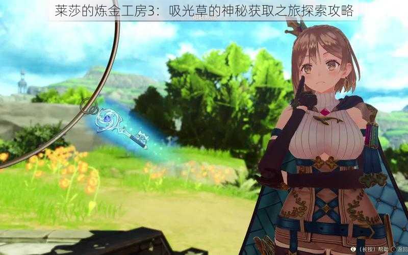 莱莎的炼金工房3：吸光草的神秘获取之旅探索攻略