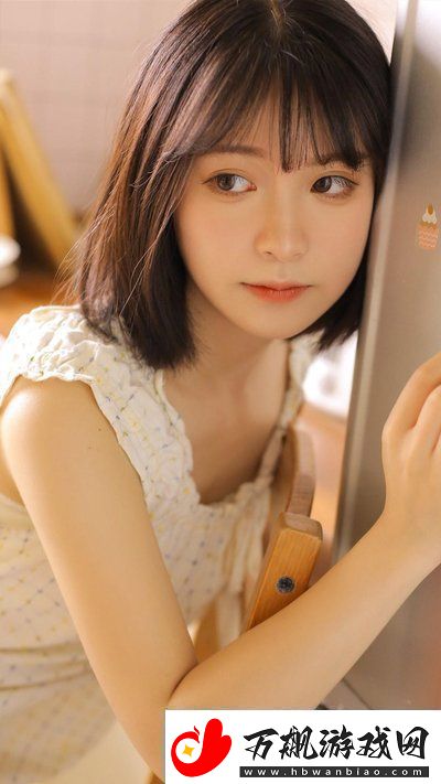 日本免费三色电费2024年：三色电费免费日本2024年电费新政背后的深远影响！