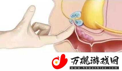 正确走后门的方法视频-1.-如何巧妙利用后门方法突破各种限制