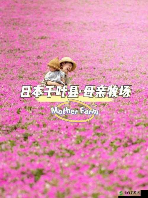 日本母亲农场特色农牧产品:优质且独特