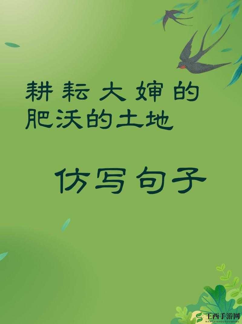 耕耘大婶的肥沃的土地：探寻土地背后的辛勤与希望