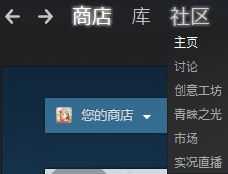 Steam是什么