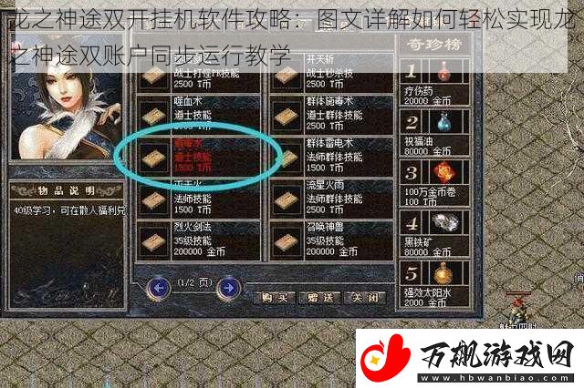 龙之神途双开挂机软件攻略：图文详解如何轻松实现龙之神途双账户同步运行教学