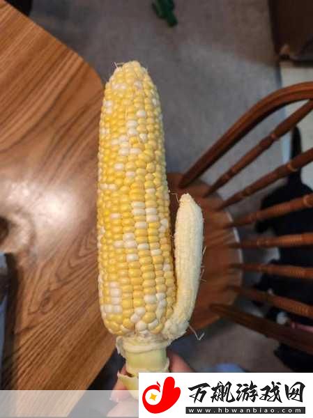秋葵草莓樱桃榴莲大全