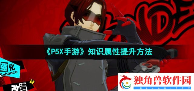 P5X手游知识属性怎么提升