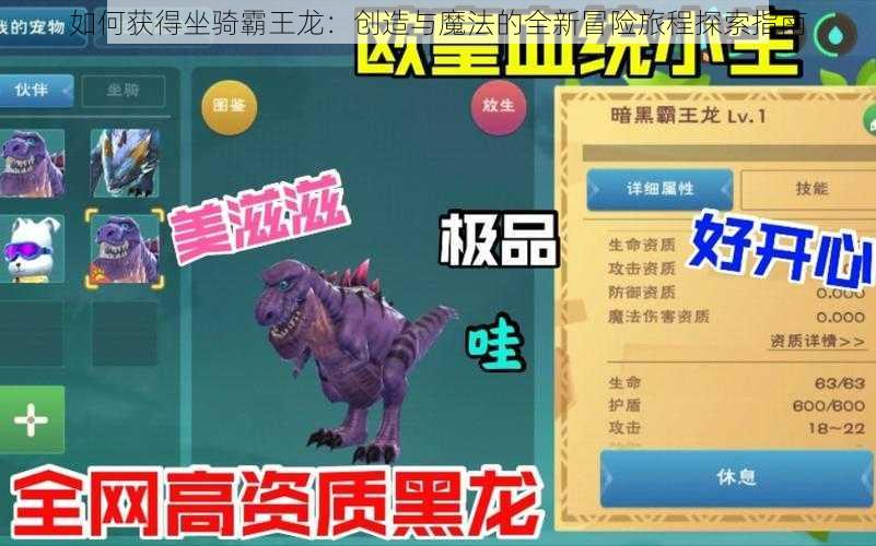 如何获得坐骑霸王龙:创造与魔法的全新冒险旅程探索指南