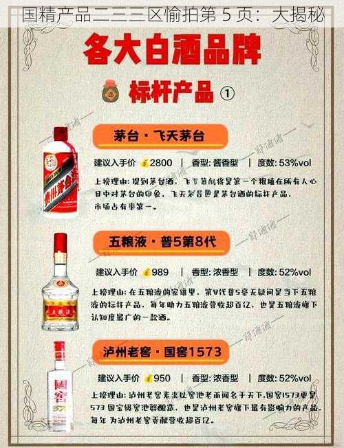 国精产品二三三区愉拍第 5 页:大揭秘