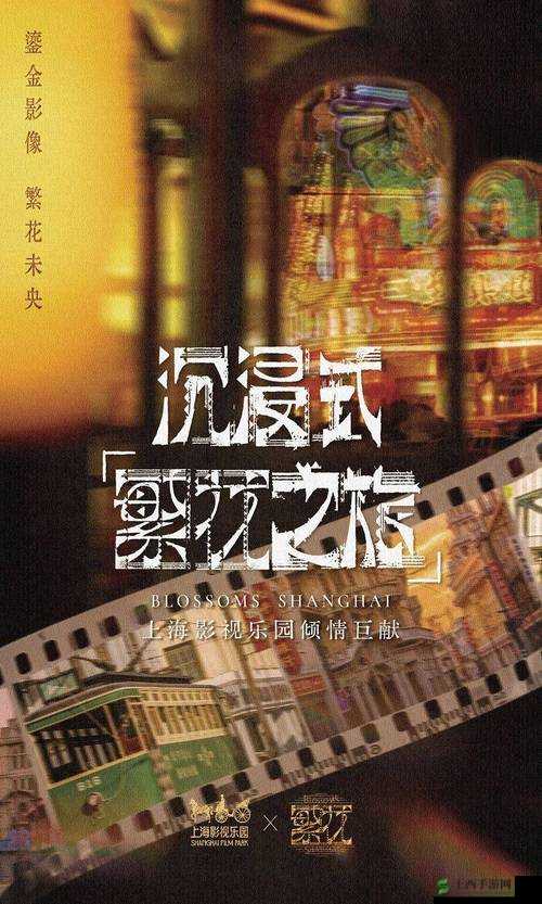 adc影视年龄确认实名认证欢迎大驾光临应用：开启精彩影视之旅