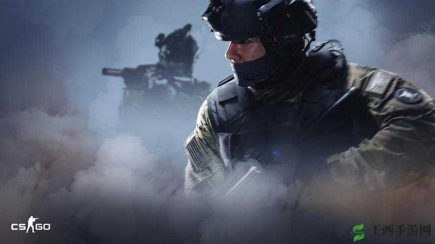 CSGO 1080P 高清大片在线观看畅享精彩