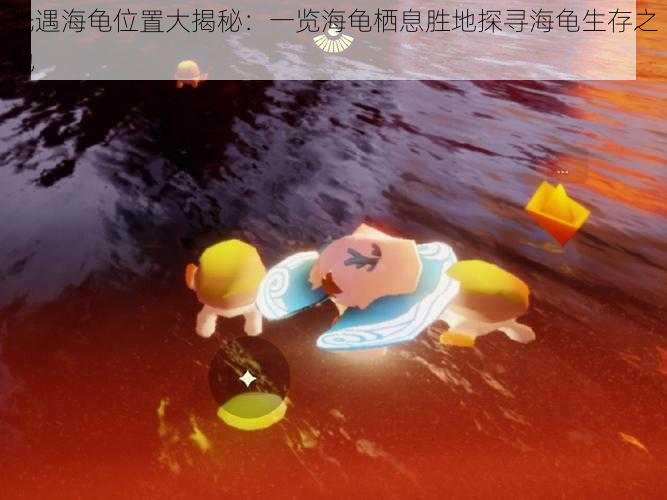 光遇海龟位置大揭秘：一览海龟栖息胜地探寻海龟生存之地
