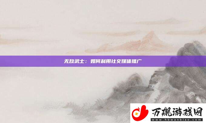 无敌武士
