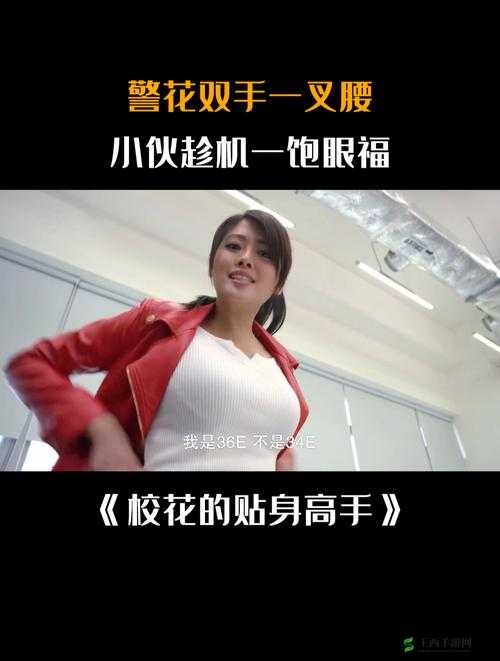 校花的贴身高手强力回复阵容推荐攻略