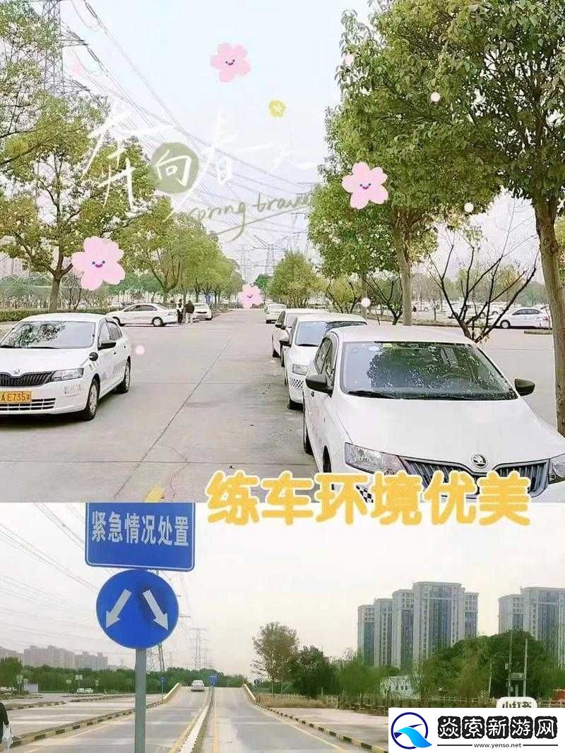 韩萌萌和刘教练练车叫什么名字之练车那些事儿