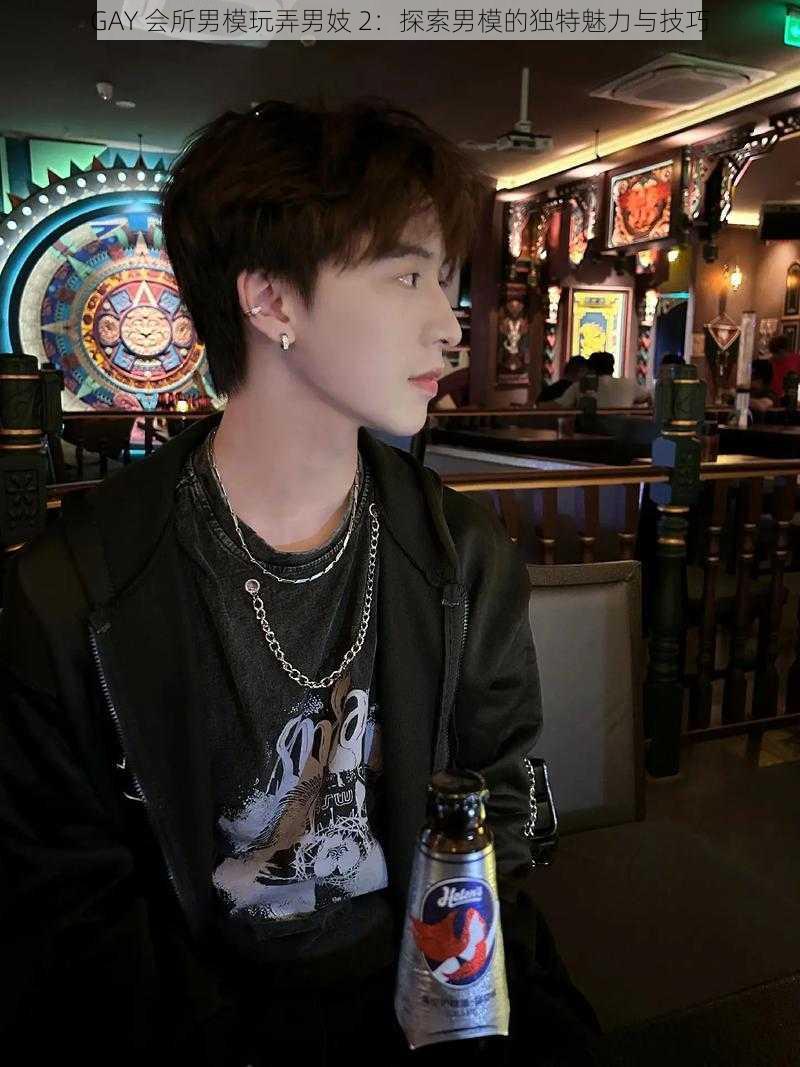 GAY 会所男模玩弄男妓 2:探索男模的独特魅力与技巧