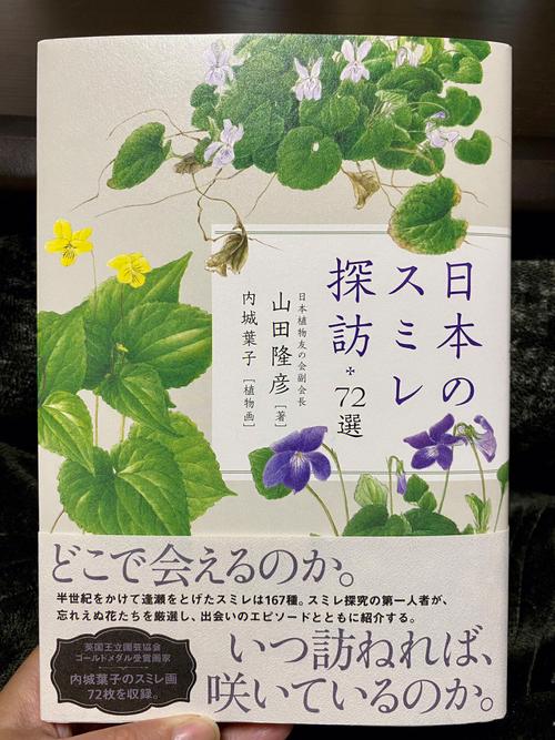 追寻自由与爱的心灵旅程——《野花日本高清在线观看》