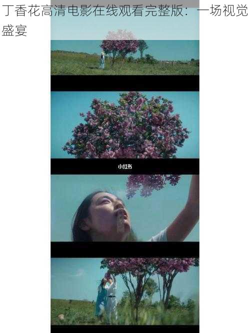 丁香花高清电影在线观看完整版:一场视觉盛宴