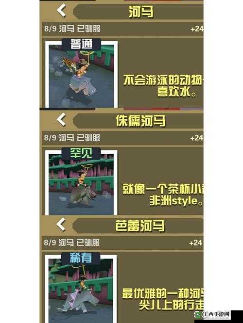 探秘疯狂动物园,骑上河马,开启奇妙下海之旅