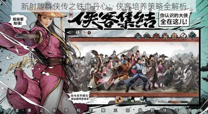 新射雕群侠传之铁血丹心：侠客培养策略全解析