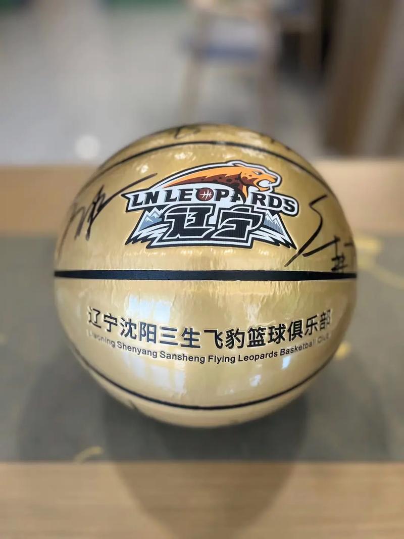CHINA篮球体育飞机2022站