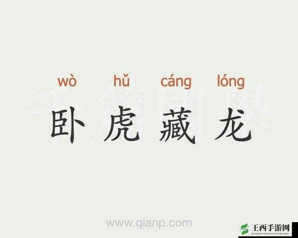 疯狂动物园卧虎,大家好,藏龙是我大哥——资源管理的艺术