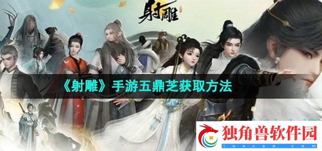 射雕手游五鼎芝怎么收集：提升游戏内探索探索效率