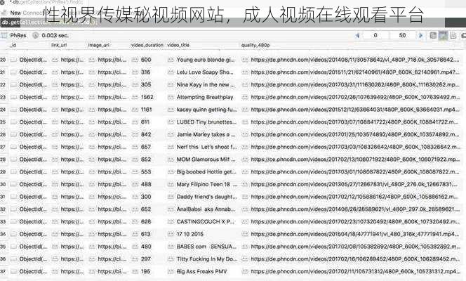 性视界传媒秘视频网站,成人视频在线观看平台