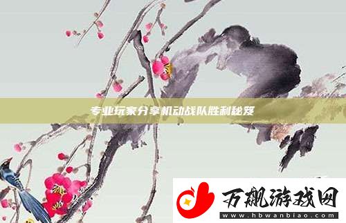 专业玩家分享机动战队胜利秘笈