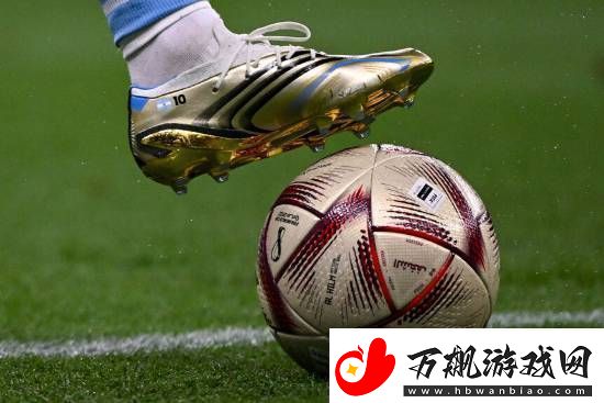 球迷冲赛场导致国足输球教练