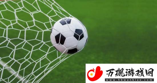 球迷冲赛场导致国足输球教练
