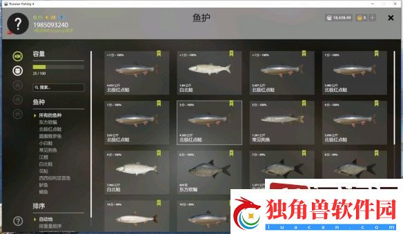 俄罗斯钓鱼4顶鲤怎么搭配