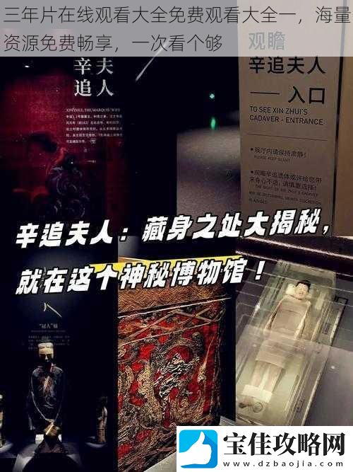 三年片在线观看大全免费观看大全一海量资源免费畅享一次看个够