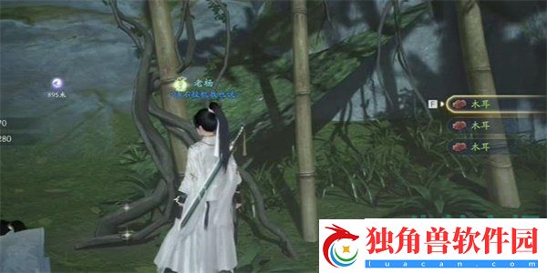 射雕手游五鼎芝怎么收集