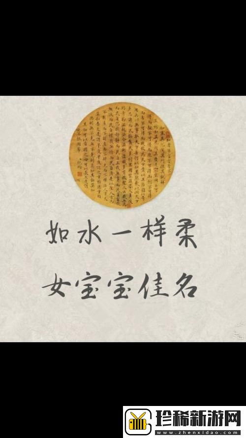 探索“佳柔和医院长第9章概括大全”的启示与分析
