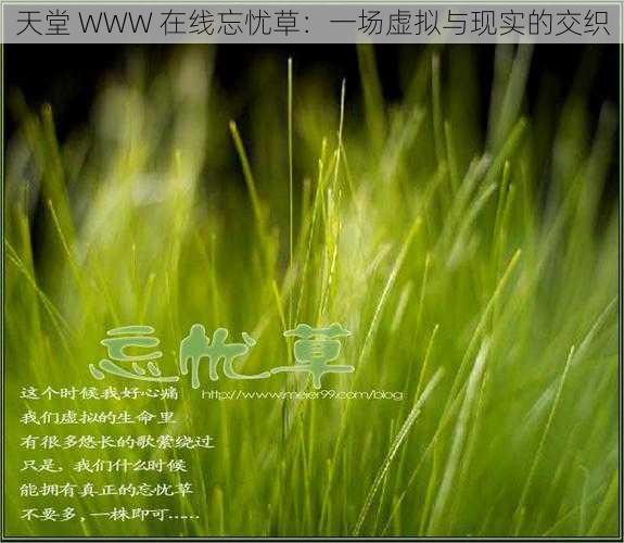 天堂 WWW 在线忘忧草:一场虚拟与现实的交织