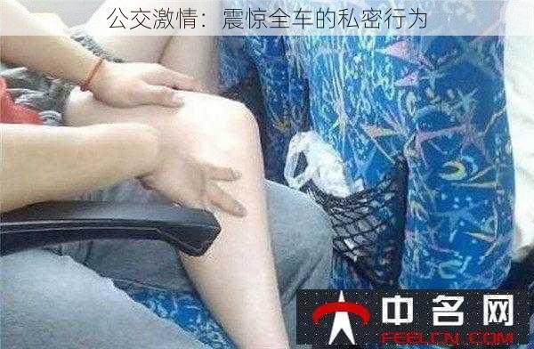 公交激情:震惊全车的私密行为