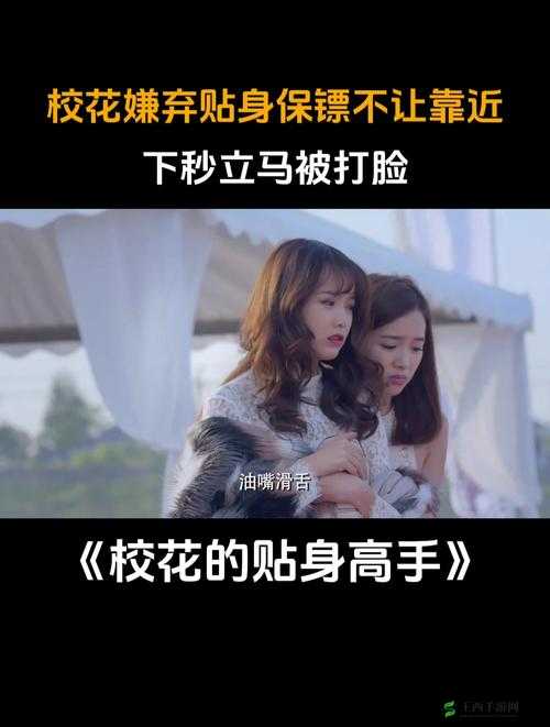 校花的贴身高手,修真穿越美人与你并肩作战